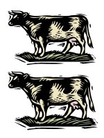 anh truc day quan lop 1