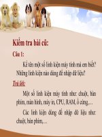 Bài 5   Luyện tập chuột