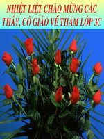 Đạo đức 3:Đoàn kết thiếu nhi Quốc tế