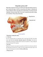 Răng khôn, giữ hay nhổ?