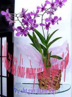 phép trừ số nguyên