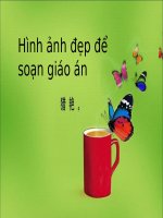Mot vai hinh anh de soan giao an
