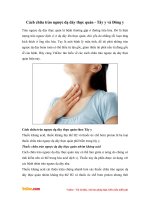 Cách chữa trào ngược dạ dày thực quản - Tây y và Đông y