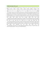 Tả đêm trăng đẹp ở quê hương