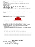 Tong hop de toan HSG lop 2