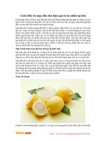 Cách điều trị mụn đầu đen hiệu quả từ tự nhiên tại nhà