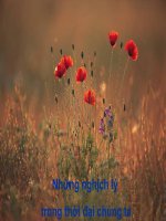 Nghịch lý cuộc đời