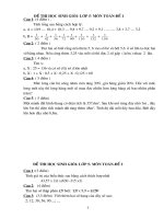 30 de toan HSG lop 5