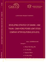developing strategy of danhim ham thuan dami hydro power joint stock company after equitizing 2010 2015 pdf 