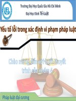 Bài thuyết trình yếu tố lỗi trong xác định vi phạm pháp luật