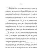 Lý luận hàng hóa sức lao động của c mác với vấn đề phát triển nguồn nhân lực ở hải phòng trong quá trình công nghiệp hoá, hiện đại hoá 