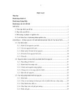 Mô hình đánh thuế tài nguyên thiên nhiên và một số ứng dụng 