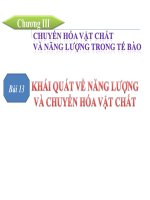 khái quát về chuyển hóa vật chất và năng lượng