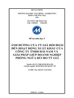 Phân tích tác động của tỷ giá hối đoái đến hoạt động xuất nhập của công ty XNK TNHH Hải Nam trong giai đoạn 2009 đến 2013 và giải pháp cho công ty giúp phòng ngừa rủi ro tỷ giá
