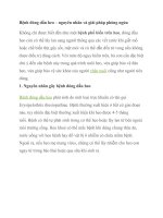 Bệnh đóng dấu heo 