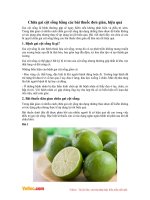 Chữa gai cột sống bằng các bài thuốc đơn giản, hiệu quả