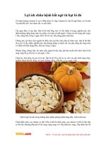 Lợi ích chữa bệnh bất ngờ từ hạt bí đỏ