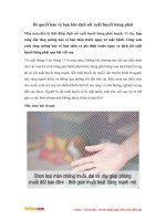 Bí quyết bảo vệ bạn khi dịch sốt xuất huyết bùng phát