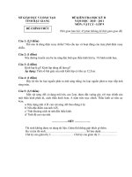 Đề thi học kỳ 2 khối 9 năm học 2010 2011