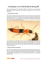 Cách phòng và xử trí khi bị kiến ba khoang đốt