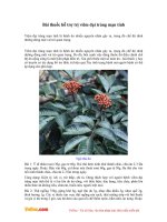 Bài thuốc hỗ trợ trị viêm đại tràng mạn tính