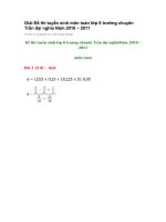 Giải toán 6 Trần Đại Nghĩa NH 10.11