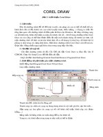 Giáo trình vẽ đồ họa corel draw