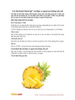 Các bài thuốc “đánh bật” sỏi thận ra ngoài mà không cần mổ