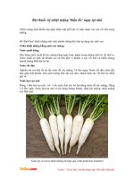 Bài thuốc trị nhiệt miệng 'thần tốc' ngay tại nhà