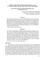 Khảo sát khả năng chống chịu phytophthora capsici của một số giống hồ tiêu trong điều kiện thí nghiệm 