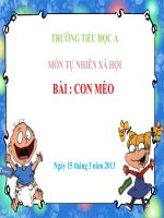 Giáo án tự nhiên xã hội bài con mèo 