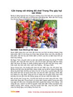 Cẩn trọng với những đồ chơi Trung Thu gây hại sức khỏe