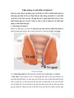 Triệu chứng và cách điều trị bệnh trĩ