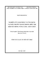 Nghiên cứu giải phẫu và ứng dụng vạt đùi trước ngoài trong điều trị khuyết hổng vùng cẳng  bàn chân