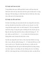 Kỹ thuật nuôi lươn tại nhà 