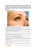 Bệnh khô mắt - nguyên nhân triệu chứng và cách phòng ngừa