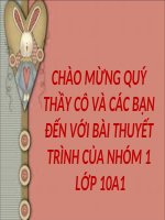 ảnh hưởng của thuốc hóa học bảo vệ thực vật