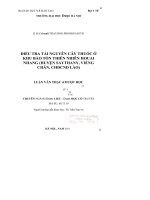 ĐIỀU TRA tài NGUYÊN cây THUÓC ở KHU bảo tồn THIÊN NHIÊN HOUAI NHANG (HUYỆN SAYTHANY, VIẾNG CHĂN, CHDCND lào 