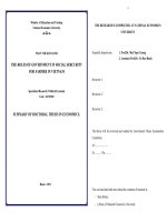 summary of doctoral thesis in economics the roles of government in social sercurity for farmer in vietnam 