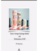 China’s foreign exchange market and performance of CNY