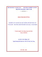 Nghiên cứu đánh giá hệ thống đê kép bảo vệ vùng bờ   trường hợp đê biển hải hậu, nam định 