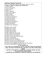 300 câu tiếng anh cơ bản (300 basic english sentences)