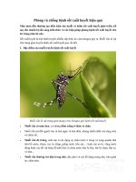 Phòng và chống bệnh sốt xuất huyết hiệu quả