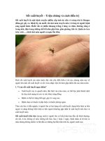 Triệu chứng và cách điều trị sốt xuất huyết