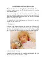 Phân loại, nguyên nhân, phòng ngừa viêm họng