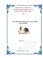 Đề tài đặc điểm cơ bản của cấu trúc tài chính