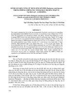 Đánh giá khả năng sử dụng ong ký sinh diadegma semiclausum trong phòng chống sâu tơ hại rau họ hoa thập tự tại đà lạt – lâm đồng 