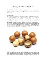 Những lợi ích sức khỏe của hạt mắc ca