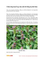 Chữa tăng huyết áp, đau mắt đỏ bằng hạ khô thảo