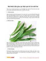 Bài thuốc dân gian cực hiệu quả từ rau mùi tàu